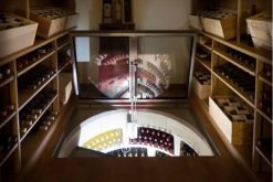 Cửa Hầm Tự Động Điều Khiển Từ Xa HM-TDO200 | HOMATIC Việt Nam✅